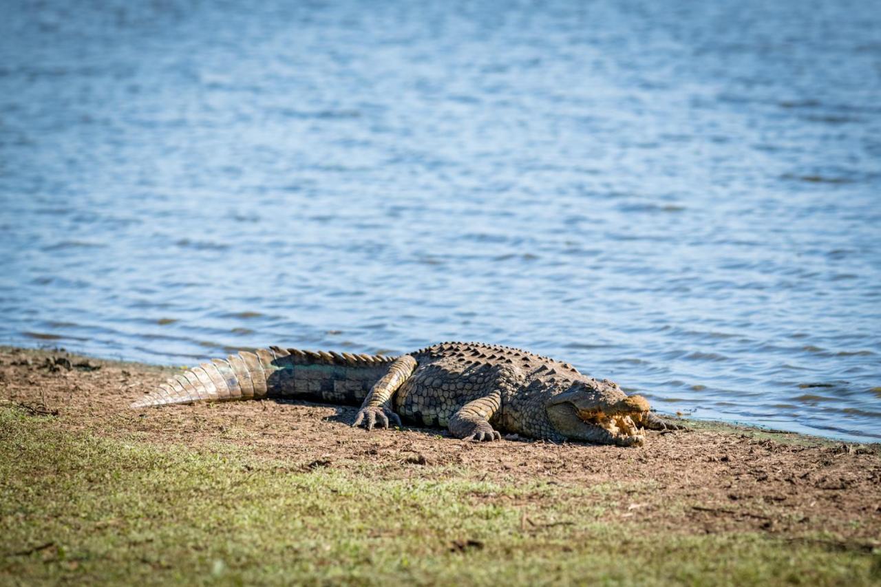 Nkuhlu Tented Camp Skukuza Eksteriør bilde