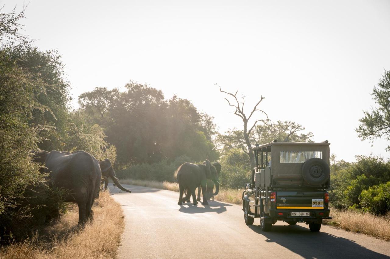 Nkuhlu Tented Camp Skukuza Eksteriør bilde