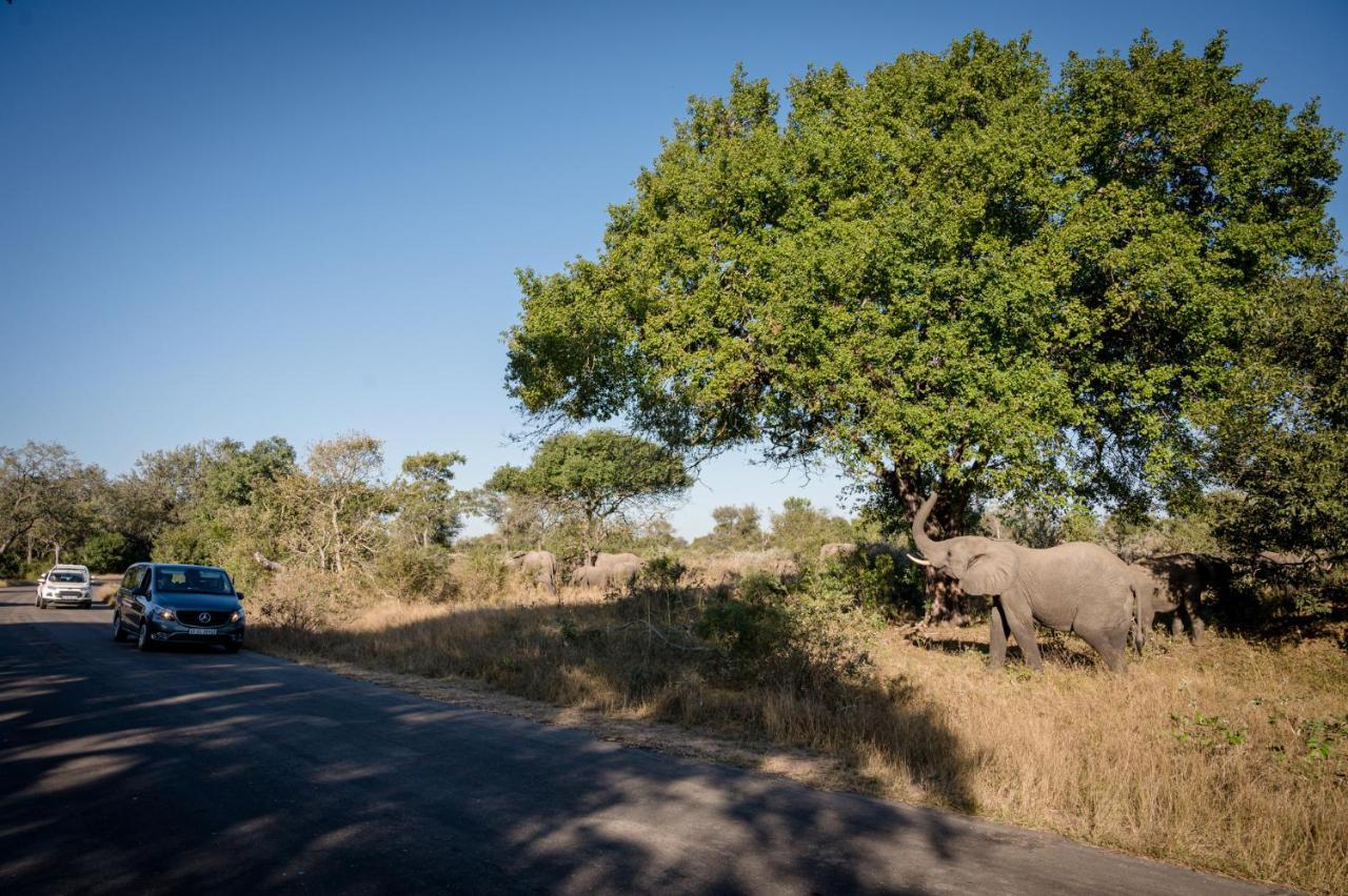 Nkuhlu Tented Camp Skukuza Eksteriør bilde