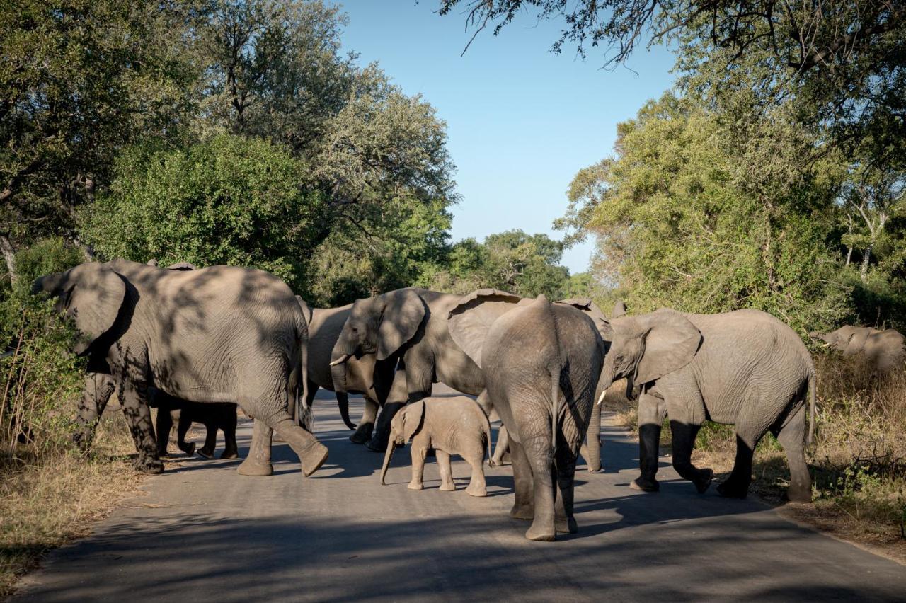 Nkuhlu Tented Camp Skukuza Eksteriør bilde