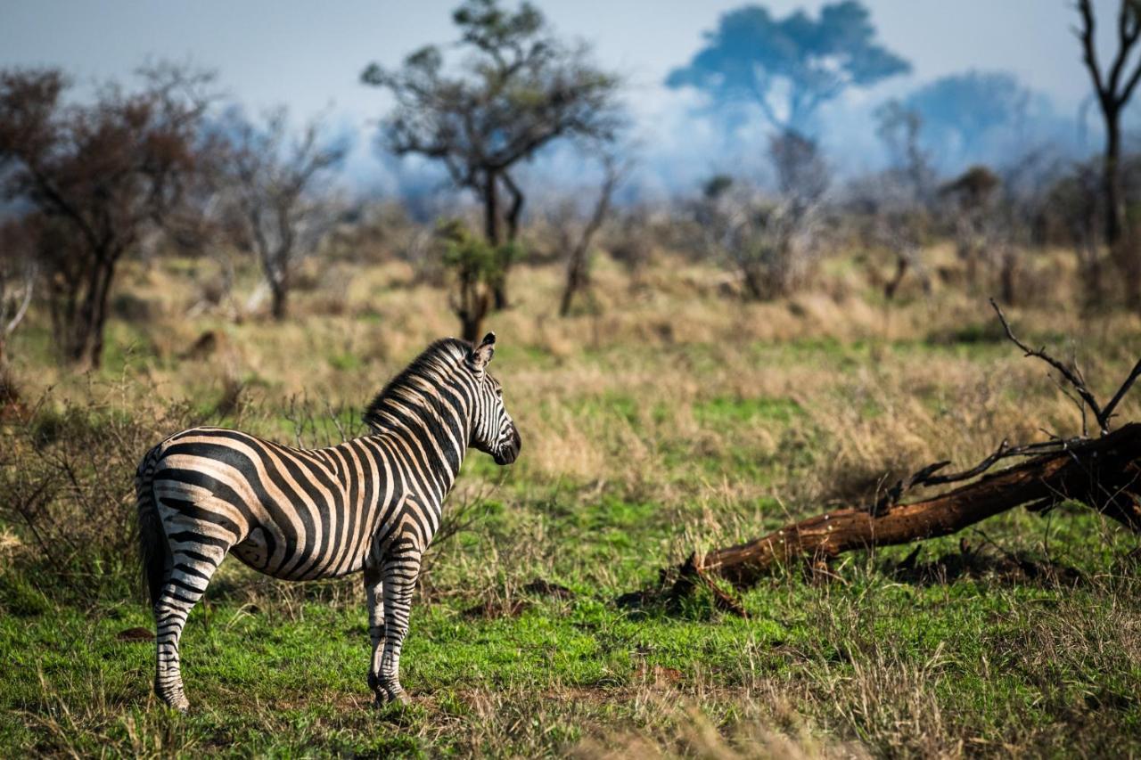 Nkuhlu Tented Camp Skukuza Eksteriør bilde