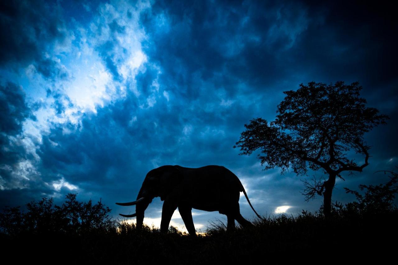 Nkuhlu Tented Camp Skukuza Eksteriør bilde