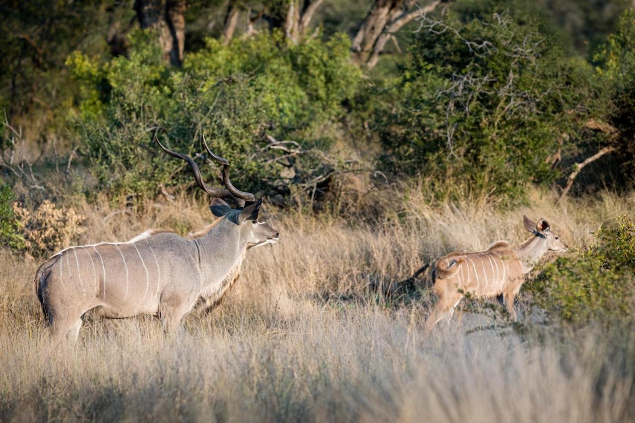 Nkuhlu Tented Camp Skukuza Eksteriør bilde