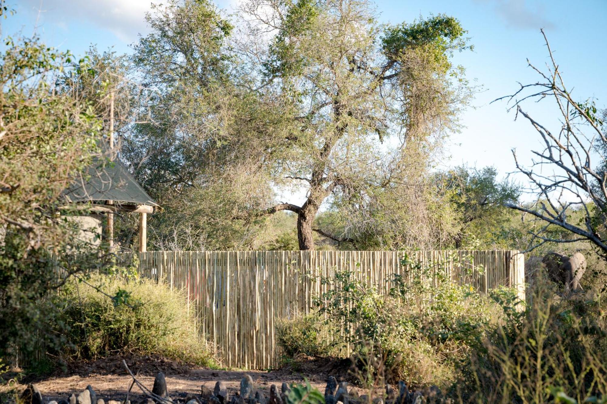 Nkuhlu Tented Camp Skukuza Eksteriør bilde
