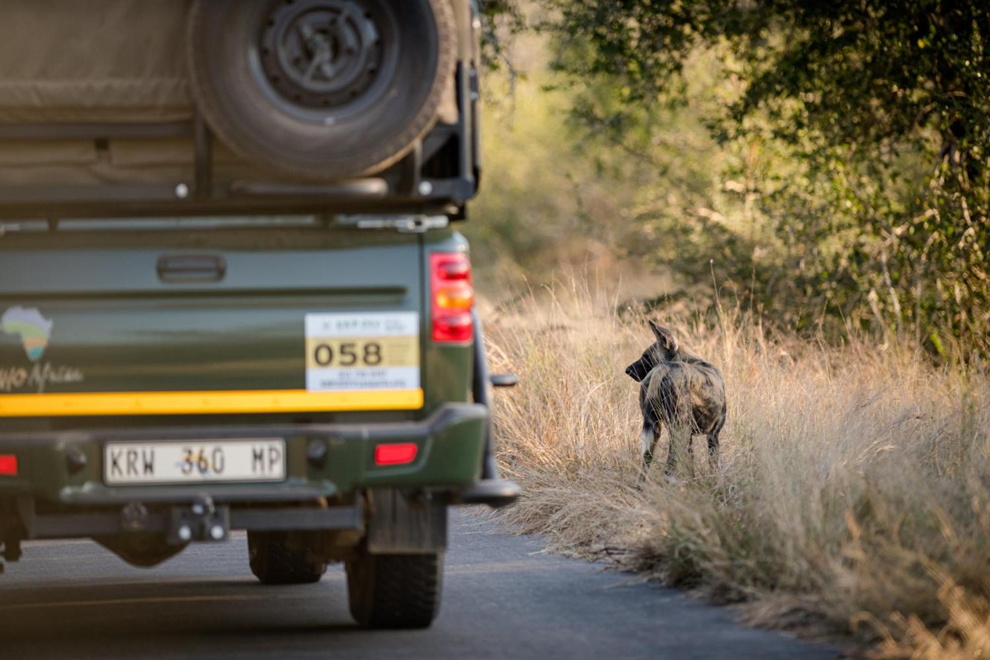 Nkuhlu Tented Camp Skukuza Eksteriør bilde